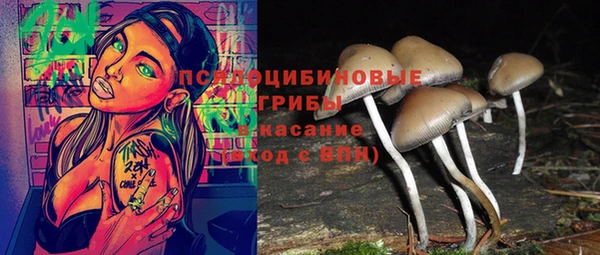 не бодяженный Арсеньев