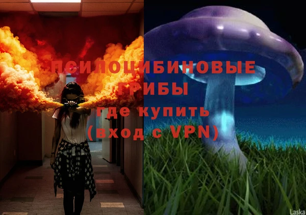 не бодяженный Арсеньев