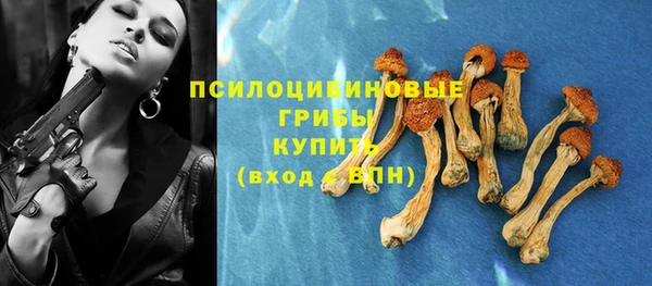 не бодяженный Арсеньев