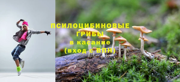не бодяженный Арсеньев
