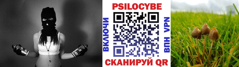 Псилоцибиновые грибы GOLDEN TEACHER Ярцево
